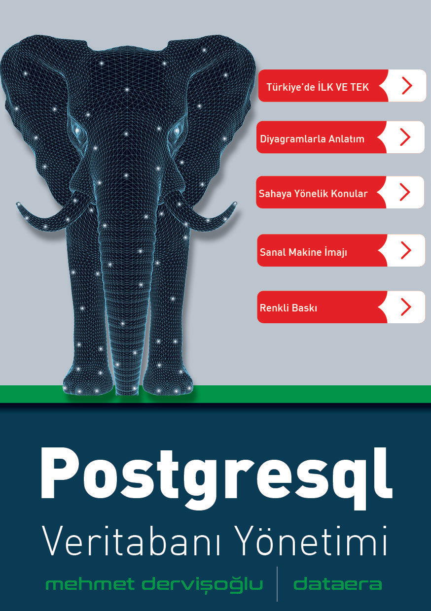 PostgreSQL Kitap Kapağı 1