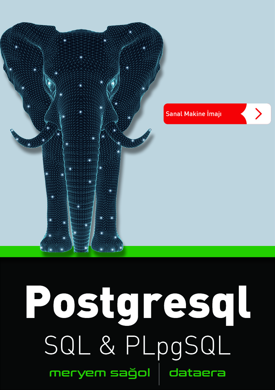 PostgreSQL SQL & PLpgSQL Kitap Kapağı 1